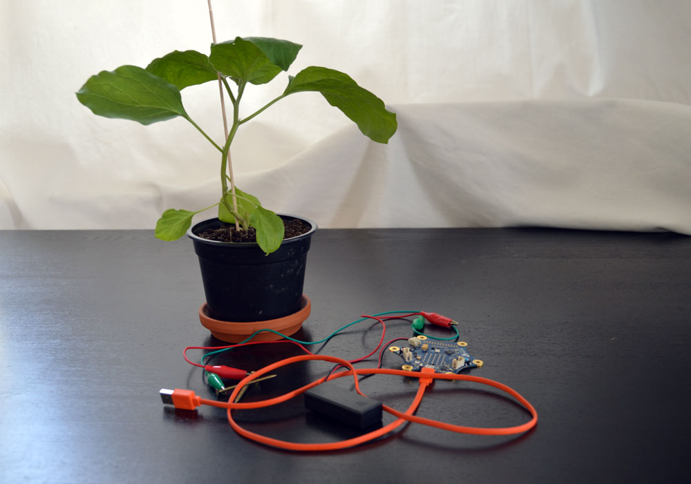 Foto: Eine Pflanze in einem Pflanztopf. Daneben liegen ein Calliope Mini und verschiedene Kabel.