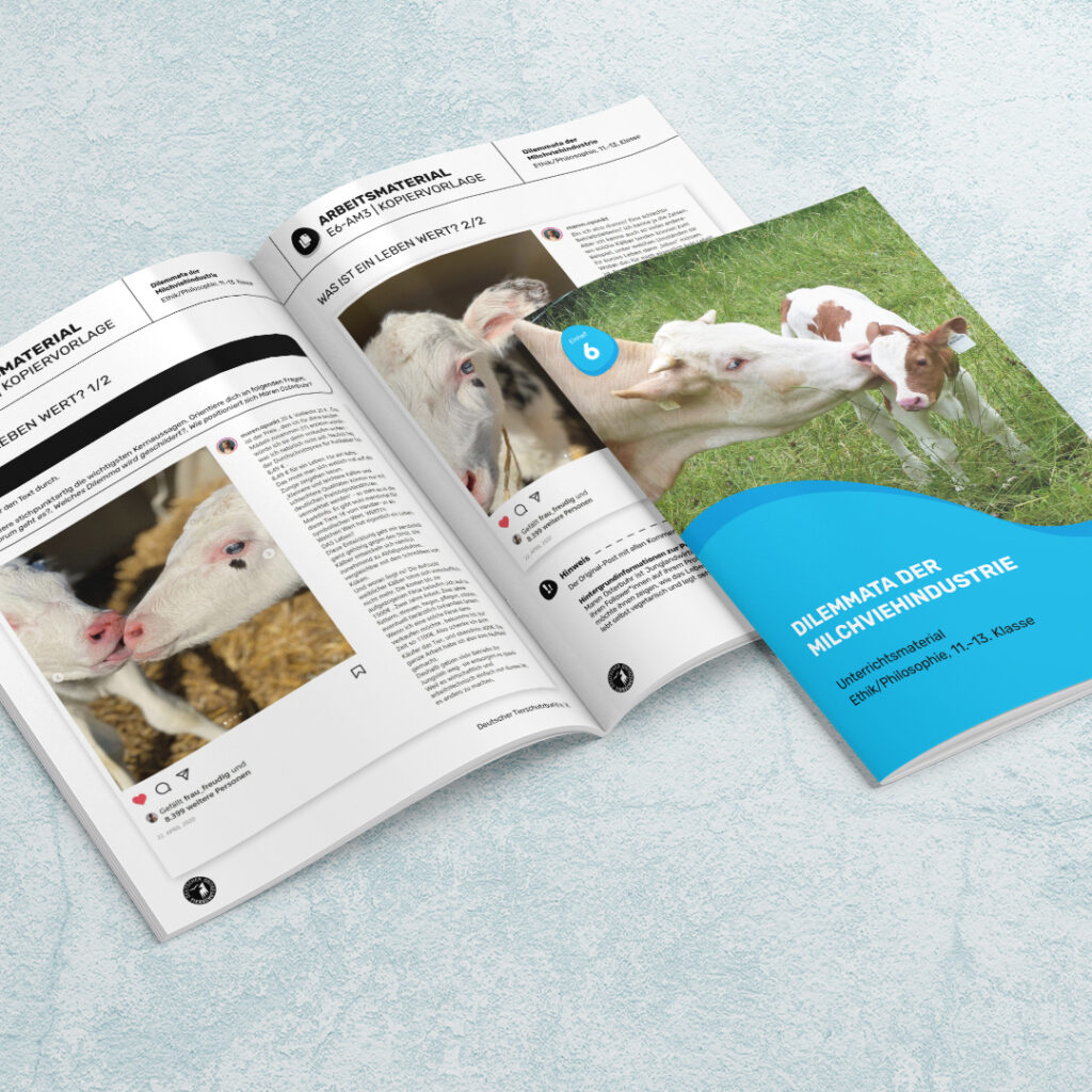 Unterrichtsmaterial TierschutzbundDilemmata der Milchviehindustrie